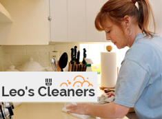 Domestic Cleaners W4