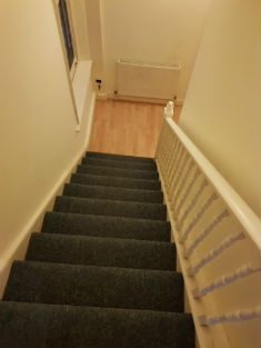 clean stairs carpet